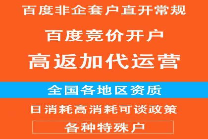 竞价代运营案例解析：中小企业如何快速崛起